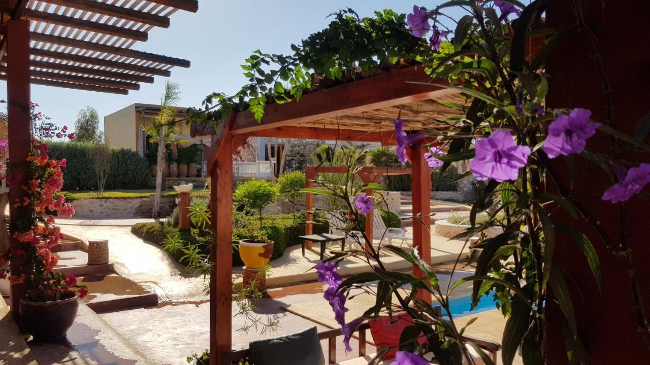 Terrasses Vertes Essaouira Eksteriør billede
